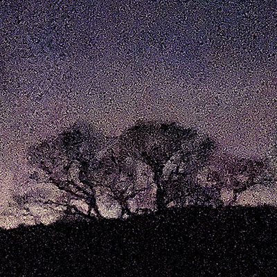 TWILIGHT